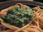 Pesto d'ail des ours